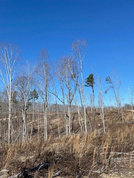 Property in Meigs County, Tennessee