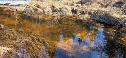 Property in Washington County, Maine