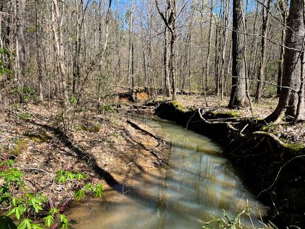 Property in McNairy County, Tennessee
