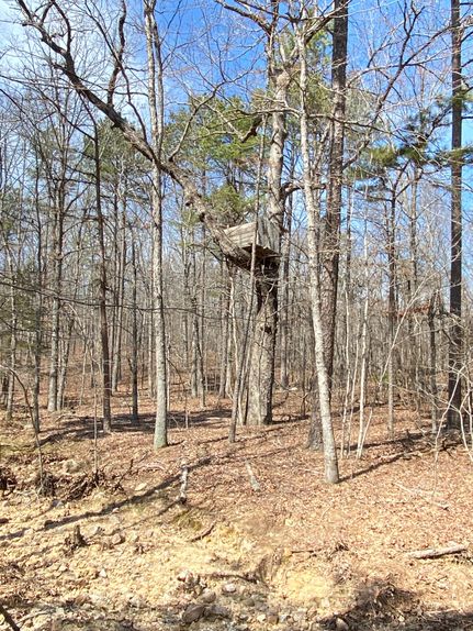 Property in Wayne County, Missouri