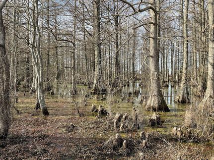 Property in Quitman County, Mississippi