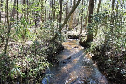 Property in Macon County, Alabama