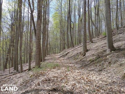 Property in Highland County, Virginia