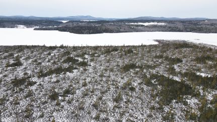 Property in Hancock County, Maine