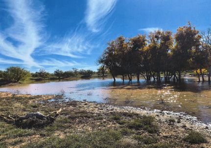 Recreational Property for sale in Fisher County, Texas