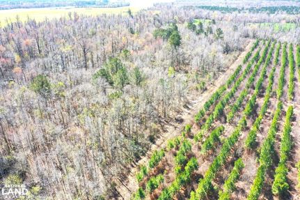 Property in Jones County, North Carolina