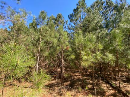 Property in Randolph County, Alabama