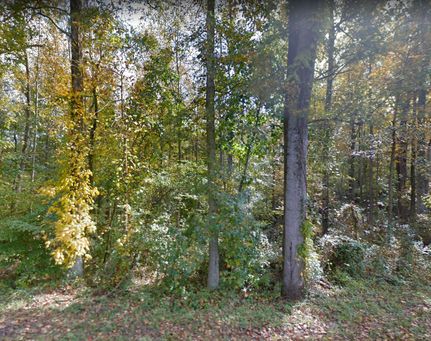 Property in Essex County, Virginia