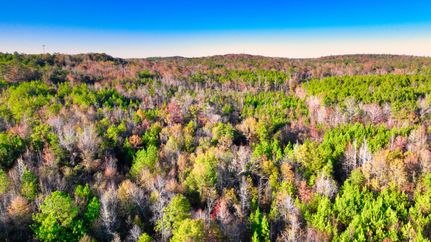 Property in Wilcox County, Alabama