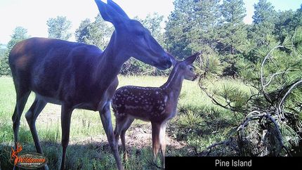 Property for sale in Crook County, Wyoming