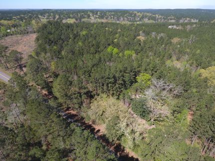 Property in Natchitoches Parish, Louisiana