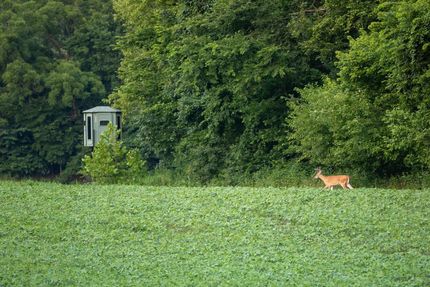 Property in Moniteau County, Missouri