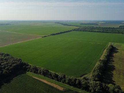 Property in Lincoln County, Arkansas