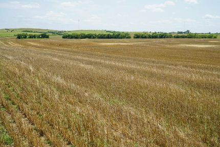 Property in Washita County, Oklahoma