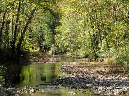 Property in Texas County, Missouri