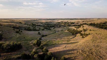 Property in Ellis County, Kansas