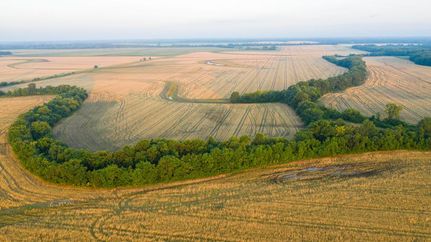 Property in Coffey County, Kansas