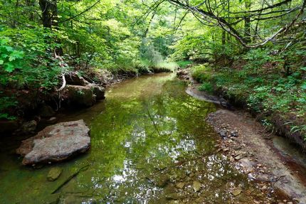 Property in Fulton County, Arkansas