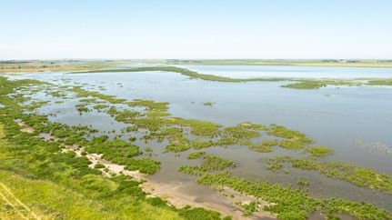 Property in Walworth County, South Dakota