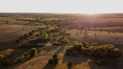 Property in Marion County, Kansas