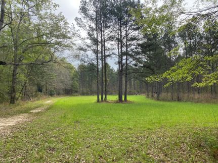 Property in Macon County, Alabama
