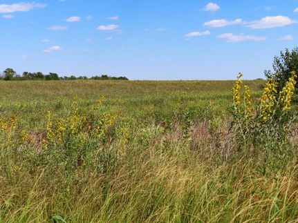 Property in Rice County, Kansas