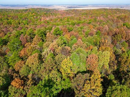 Property in Greene County, Arkansas