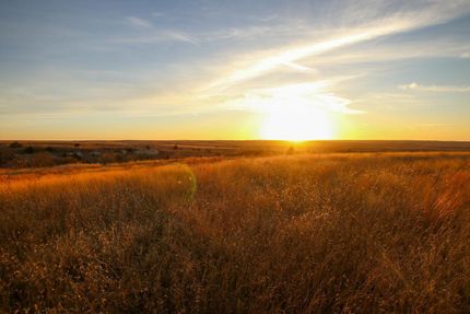 Property in Phillips County, Kansas