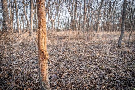 Property in Washington County, Oklahoma