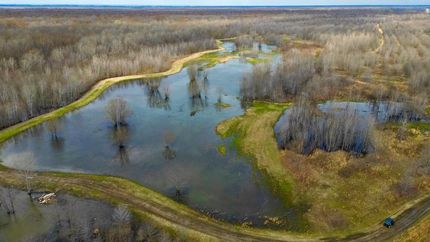 Property in Craighead County, Arkansas