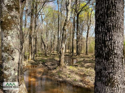 Property in Washington County, Georgia