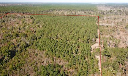 Property in Allen Parish, Louisiana