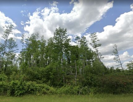 Property in Jackson County, Florida