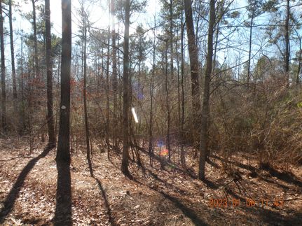 Property for sale in Walker County, Alabama