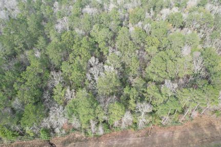 Property in Newton County, Texas