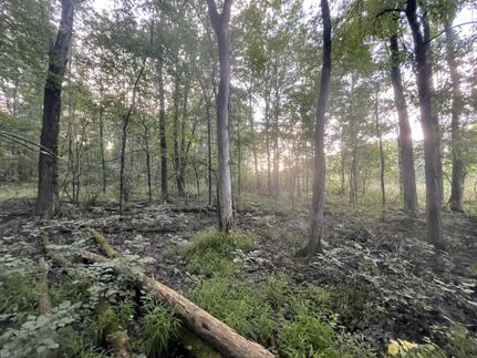 Property in Cuyahoga County, Ohio