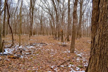 Property in Bates County, Missouri