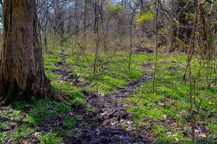 Property in Vernon County, Missouri