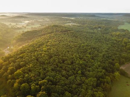 Property in Greene County, Missouri