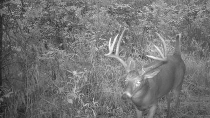 Property in Daviess County, Missouri