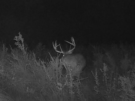 Property in Buchanan County, Missouri