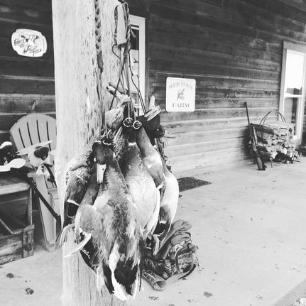 Property in Holt County, Missouri