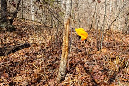 Property in Madison County, Arkansas