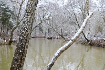 Property in Scott County, Arkansas