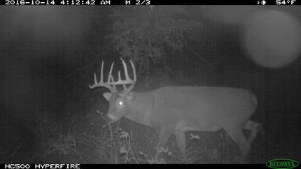 Property in Linn County, Kansas