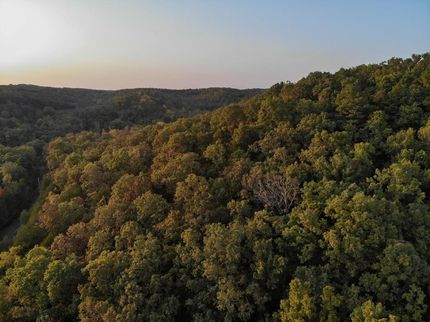 Property in Christian County, Missouri