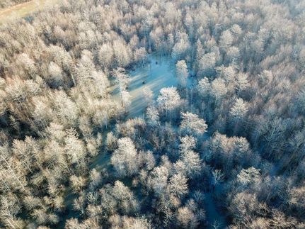 Property in Clay County, Arkansas