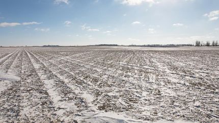 Property in Turner County, South Dakota