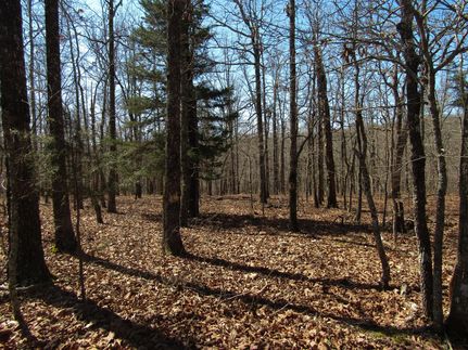 Property in Ripley County, Missouri