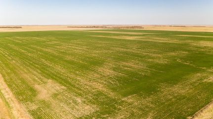 Property in Hand County, South Dakota